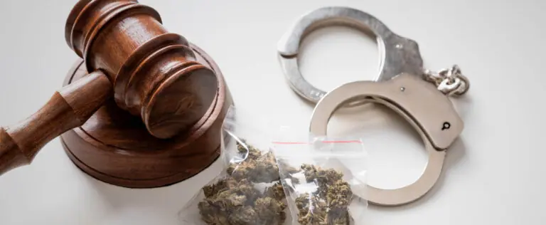 Marijuana with handcuffs and a legal gavel